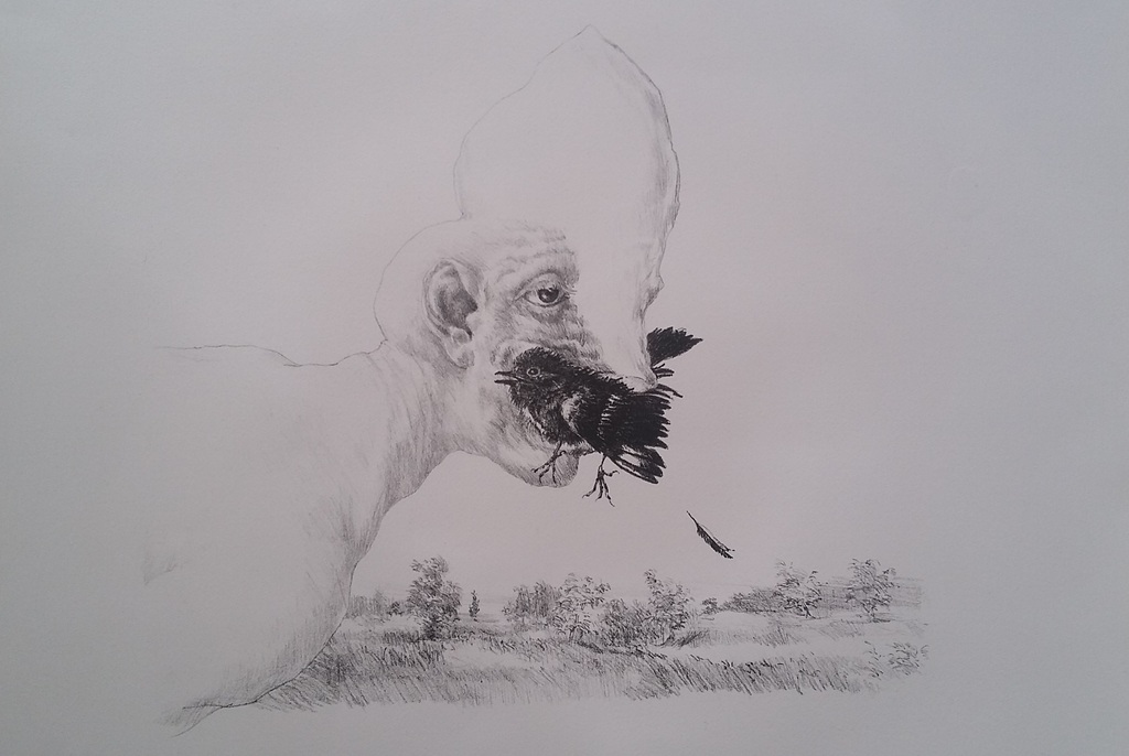 Peter Vos: Schiereiland Melancholie, grote litho  kopen? Bied vanaf 60!