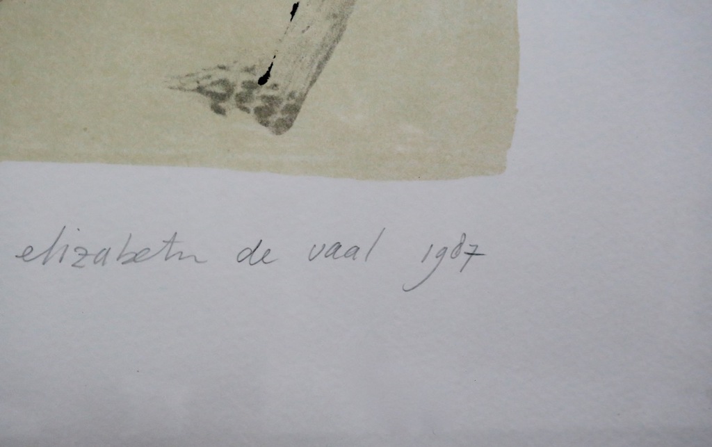 Elizabeth de Vaal: Litho, Kleine gevoeligheden - Ingelijst kopen? Bied vanaf 1!