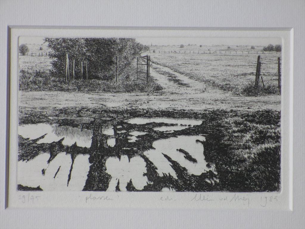 Wim van der Meij, Plassen, Ets kopen? Bied vanaf 1!