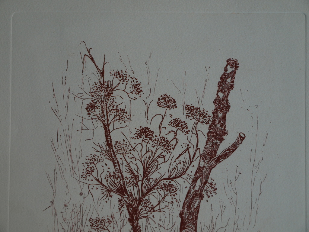 Kees de Ruijter : Ets , Bloeiende tak – gesigneerd - 1985 kopen? Bied vanaf 1!