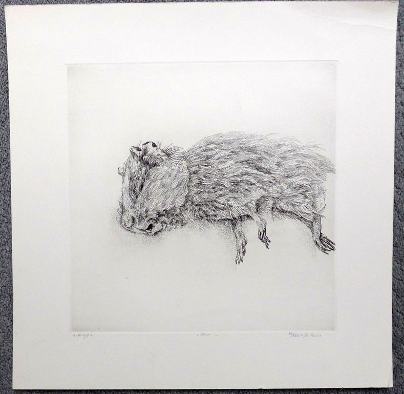 Gerard van Rooy ets uit 1972 voor de Luis verkocht voor € 225!