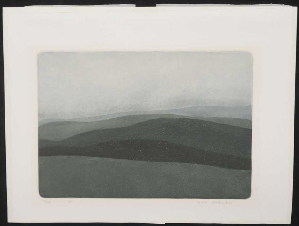 Lydia Oerlemans: Ets, Zonder titel VII kopen? Bied vanaf 50!