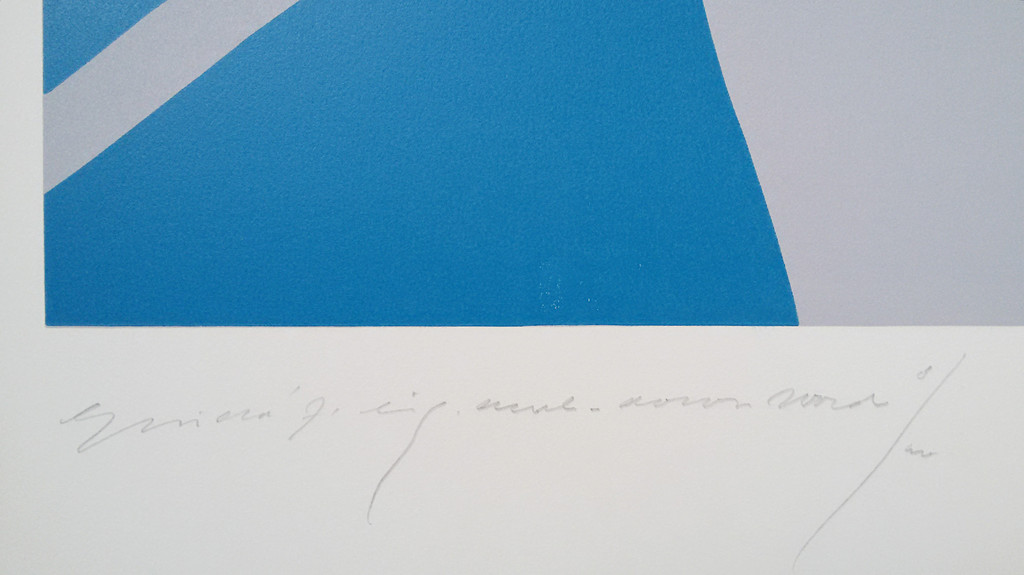 Guido de Waart - Downward, linosnede kopen? Bied vanaf 70!