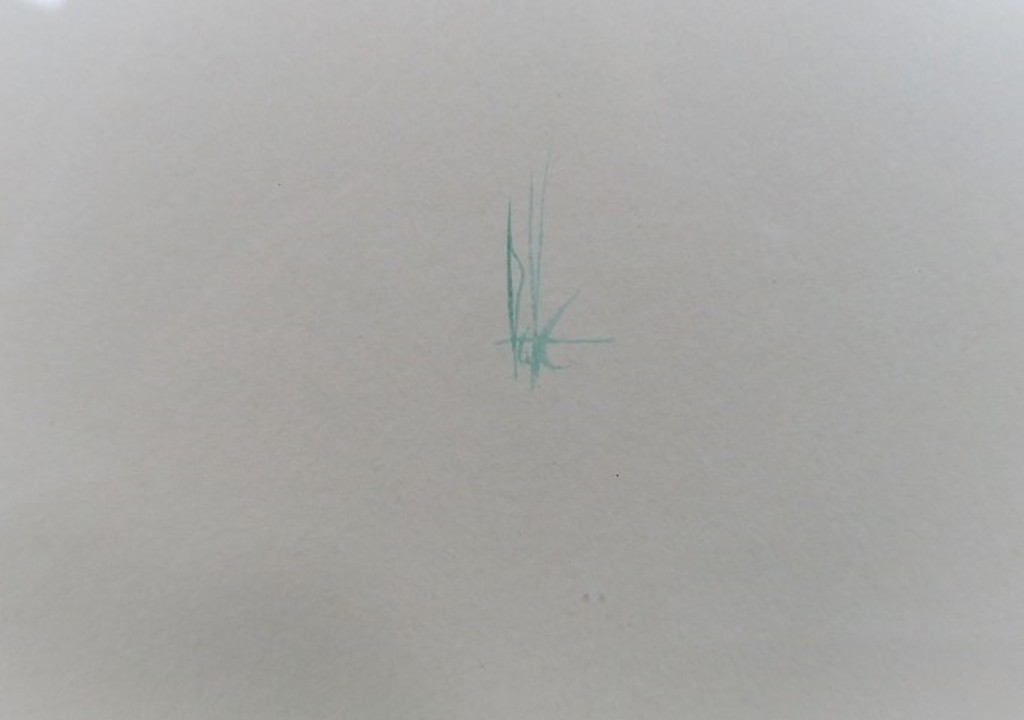 Melle Oldeboerrigter: Aquarel, Grassprieten - Ingelijst kopen? Bied vanaf 120!