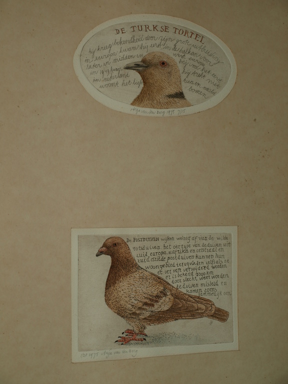 Arja van den Berg (1947): Dubbele ets - Duiven – Gesigneerd & ingelijst –1975 verkocht voor € 75!