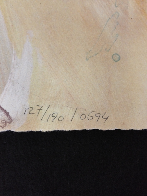 Hans Vanhorck, litho op papier kopen? Bied vanaf 30!