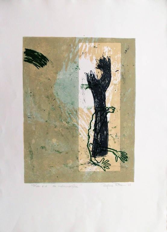 Daphne Ritzen litho de metamorfose kopen? Bied vanaf 35!