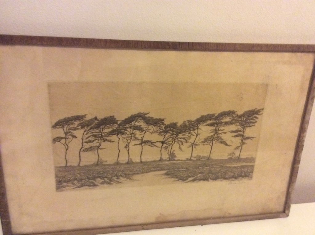 Litho Marie (Mia) Bake (1851-1909) De Natuur kopen? Bied vanaf 1!