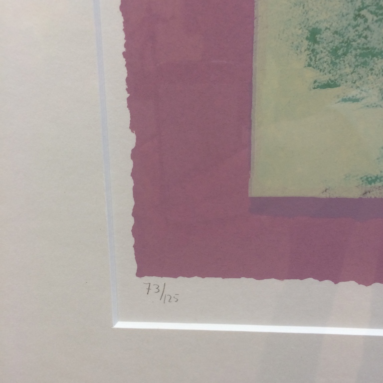 Marjan Jaspers, zeefdruk met lijst , titel  kopen? Bied vanaf 50!