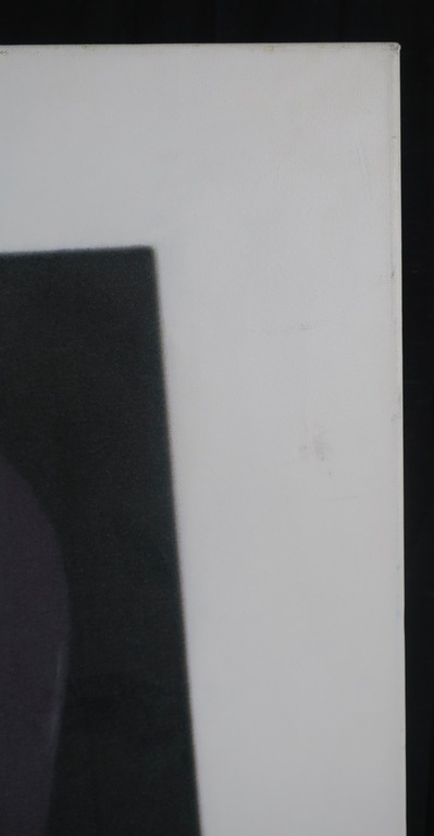 Nans Jetten: Zeefdruk op doek, Gewassen en geknipt 3 (Zeer groot) kopen? Bied vanaf 1!