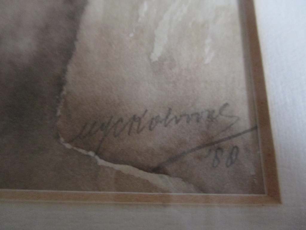 Marius Kolvoort, Ingelijste aquarel, Vogel kopen? Bied vanaf 35!