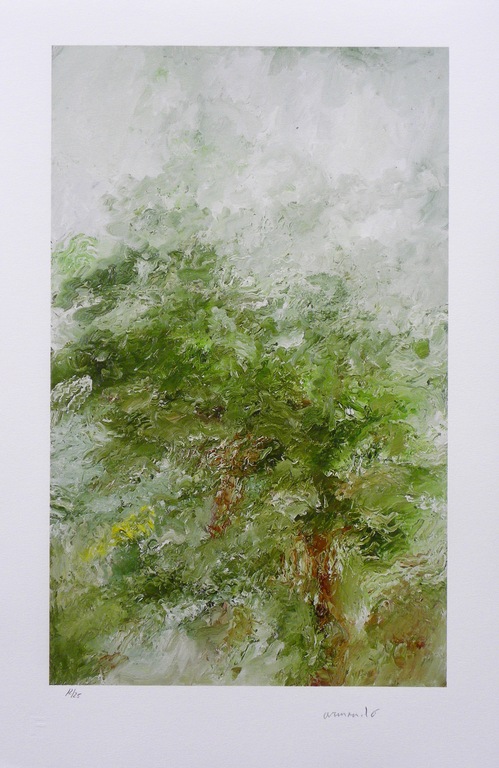 Armando - 'Waldig' - Giclee - Gesigneerd en Genummerd met de hand - 2015 kopen? Bied vanaf 225!