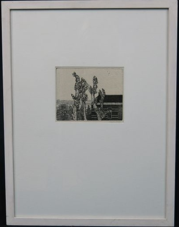 Kees Stoop: Ets, Lente -Ingelijst kopen? Bied vanaf 1!