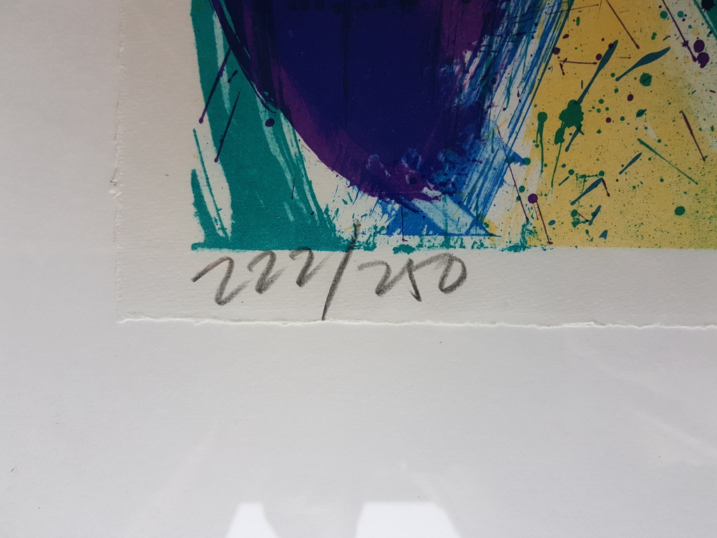 Jan Cremer (1940) - kleurenlitho, gesigneerd en '91 kopen? Bied vanaf 195!