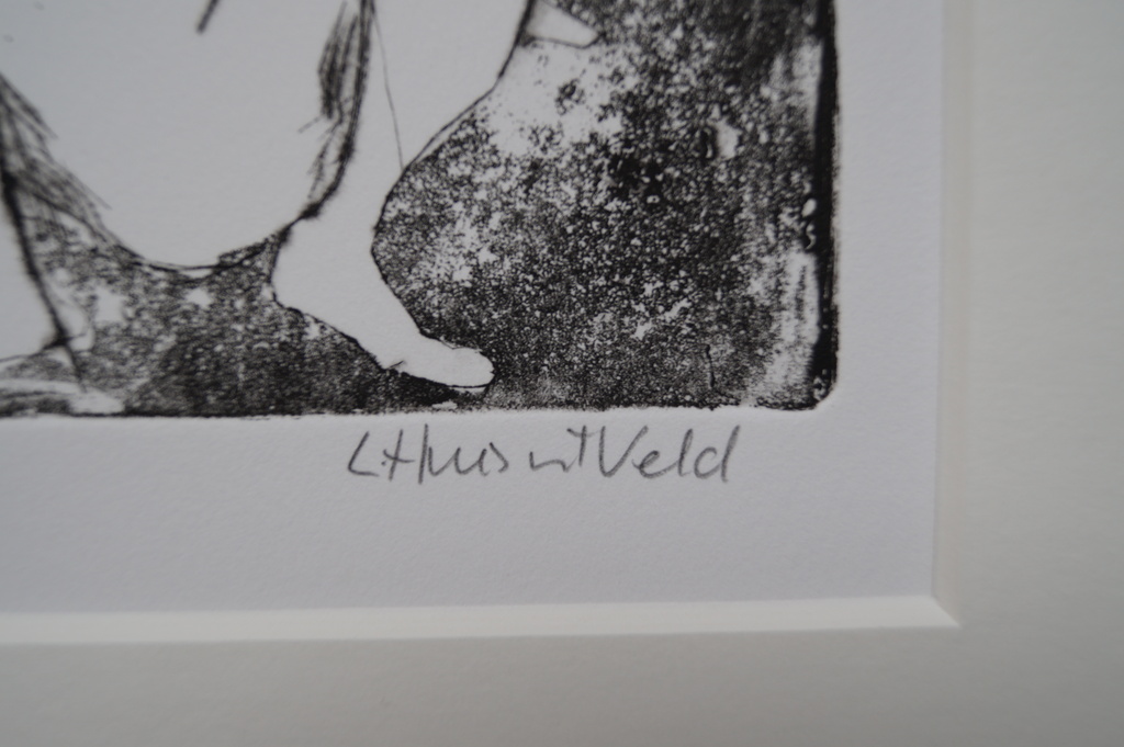 Loes Huis in 't Veld - gesigneerde ets - Vliegdromen  kopen? Bied vanaf 20!