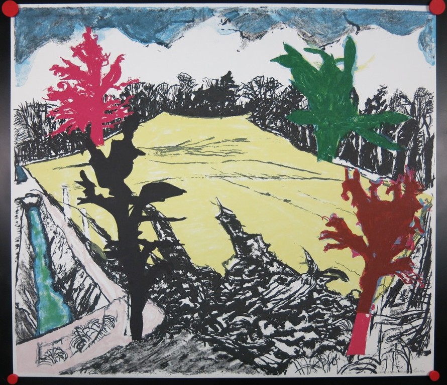 Hans Ebeling Koning: Litho, Z.T. (1) kopen? Bied vanaf 1!