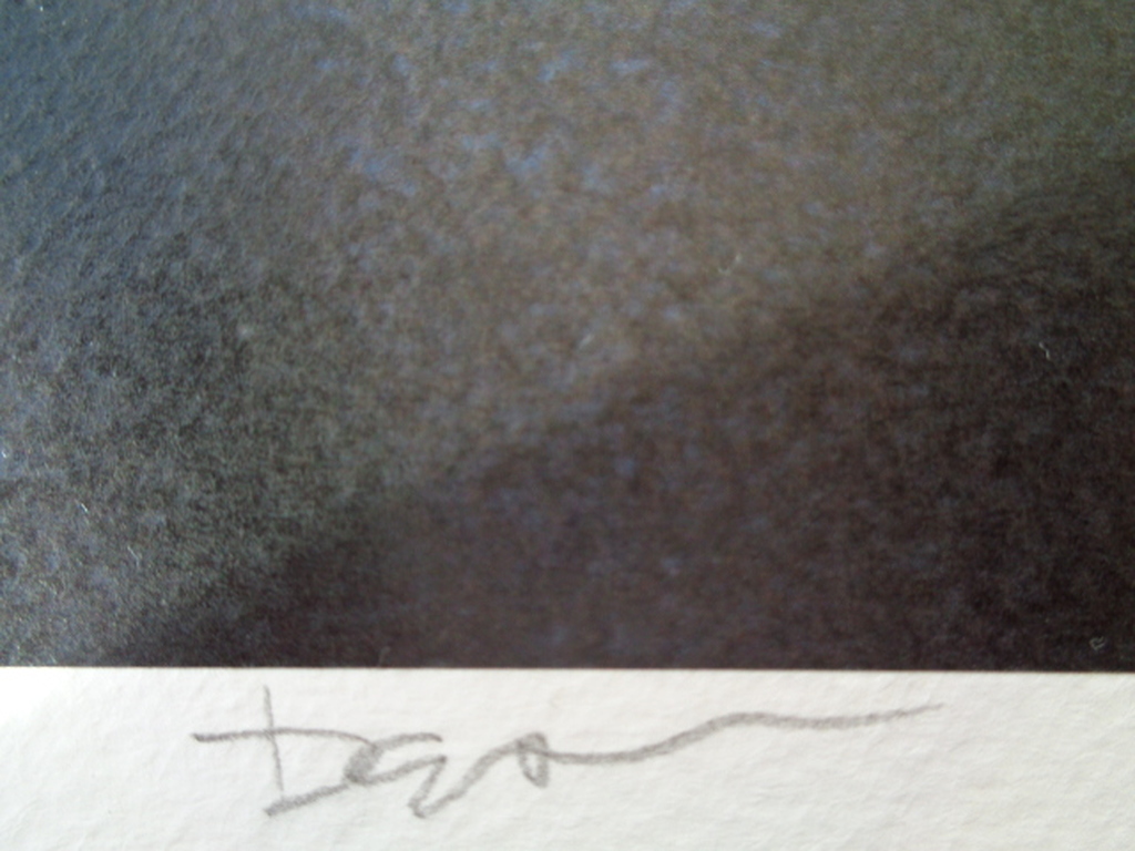 GROTE Fine Art Print,"Kate Moss", GESIGNEERD en COA, genummerd A/P of 1 t/m 100 kopen? Bied vanaf 1!