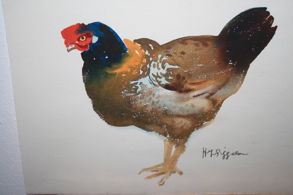 H J van Piggelen - AQUAREL KIP kopen? Bied vanaf 35!