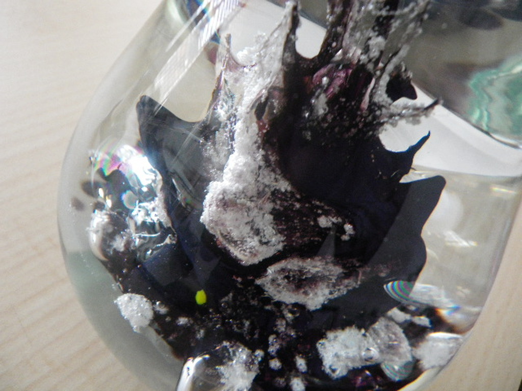 cor schellen kopen? Bied vanaf 35!