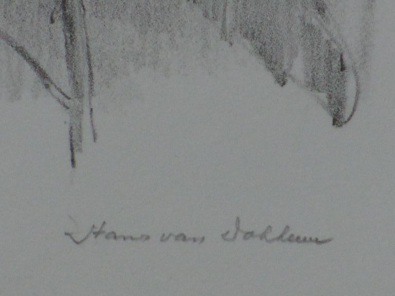 Simon Koene, Ets, Plantensoorten kopen? Bied vanaf 35!