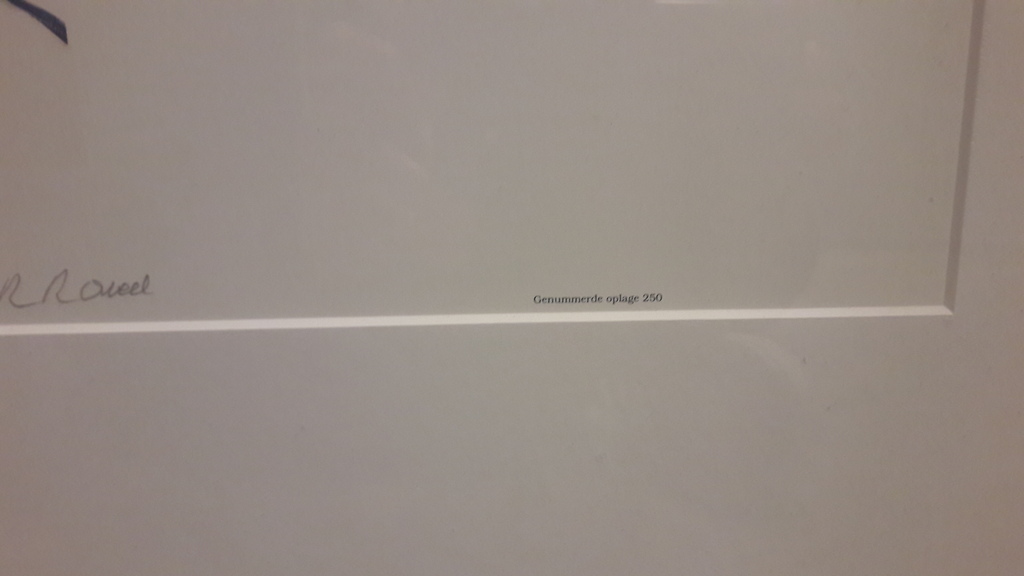 Rogeer raveel speciale editie kopen? Bied vanaf 375!