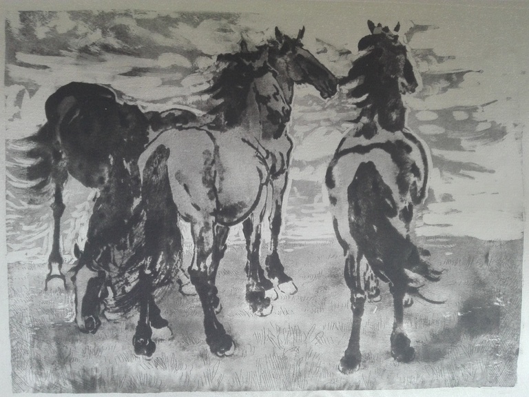 Gesigneerd onbekende kunstenaar, ets op zijde, Wilde paarden, impressionisme kopen? Bied vanaf 1!