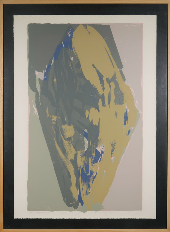 Darryl Hughto: Zeefdruk, Erie - Ingelijst (Groot!) verkocht voor € 80!