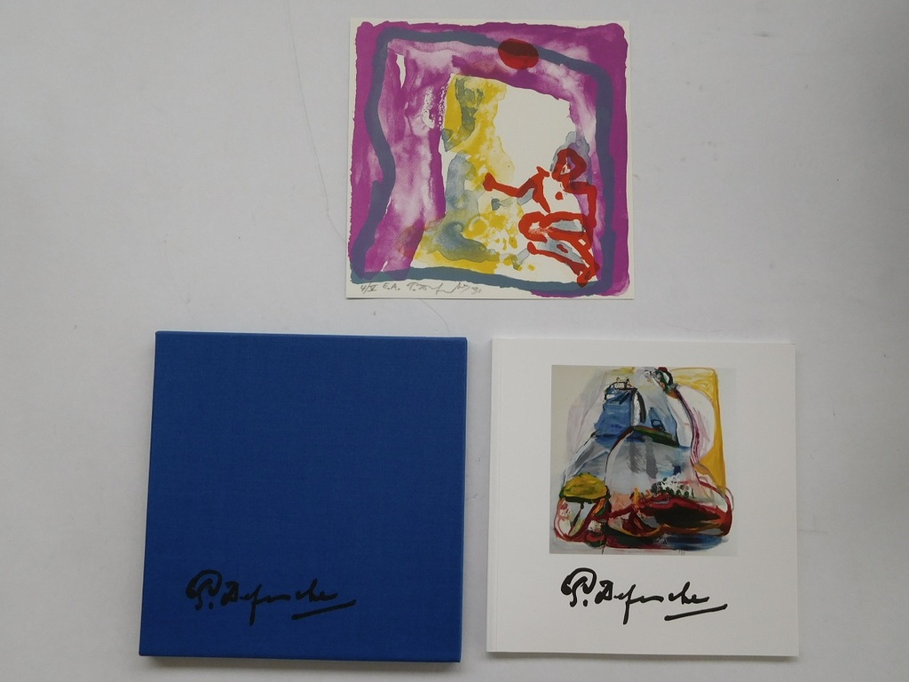 Pieter Defesche,Gesigneerde en genummerde litho met boekje in linnen cassette kopen? Bied vanaf 100!