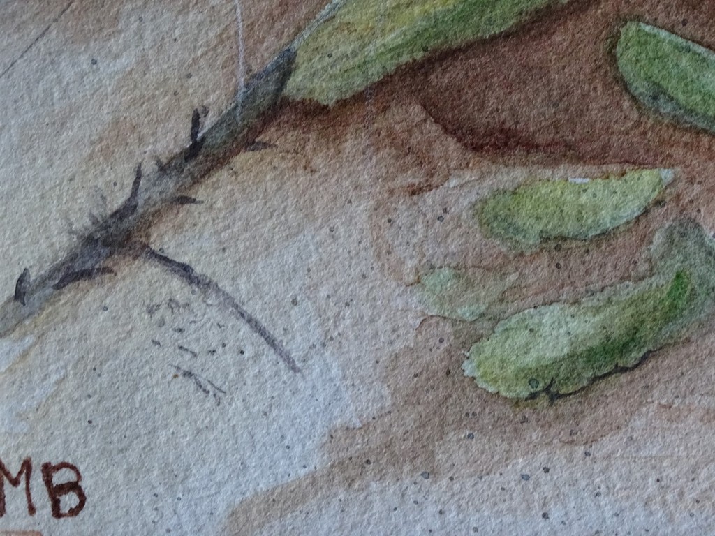 Onbekend, aquarel, zonder titel kopen? Bied vanaf 1!