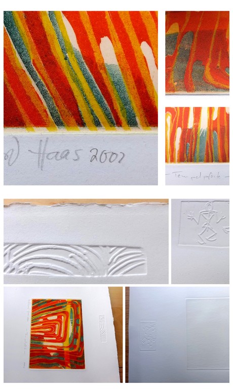 Haas Willibrord: kleurenets  kopen? Bied vanaf 1!