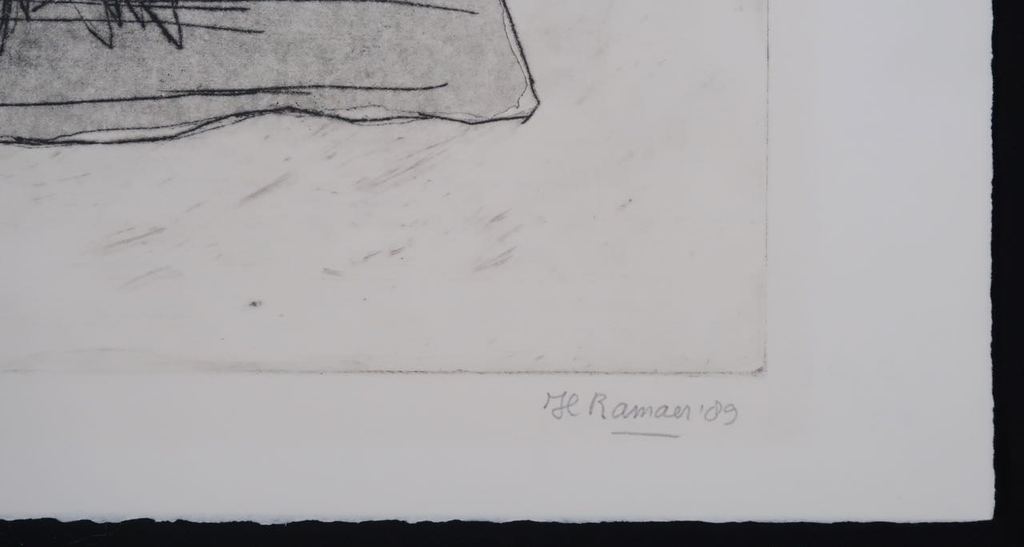 Hanny Ramaer: Droge naald, Komkommer kopen? Bied vanaf 1!