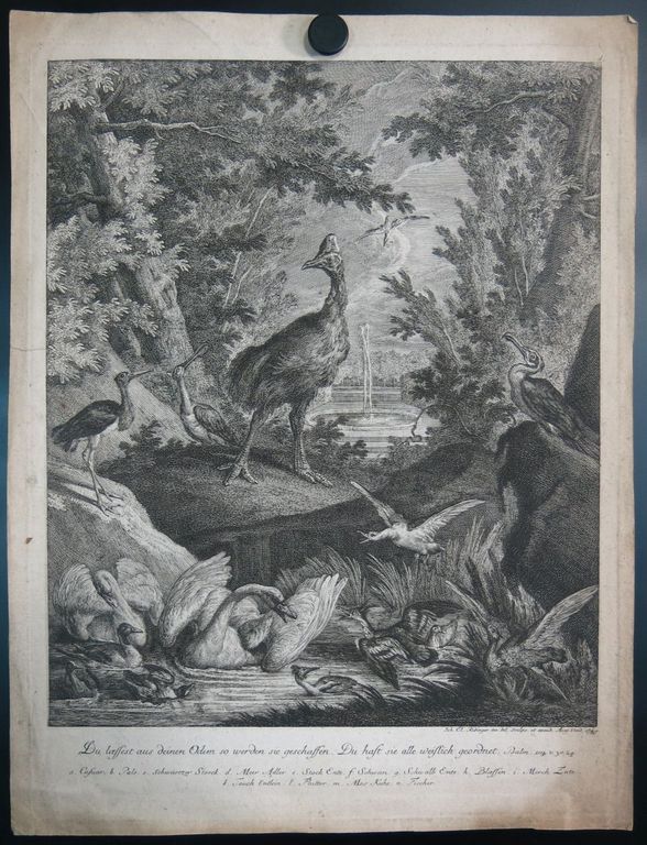 Johann Elias Ridinger: Ets, Zwaan kopen? Bied vanaf 35!