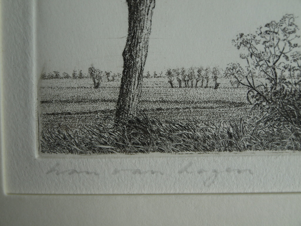 Han van Hagen (1944-) : Ets – Knotwilgen – gesigneerd – 1987 kopen? Bied vanaf 1!