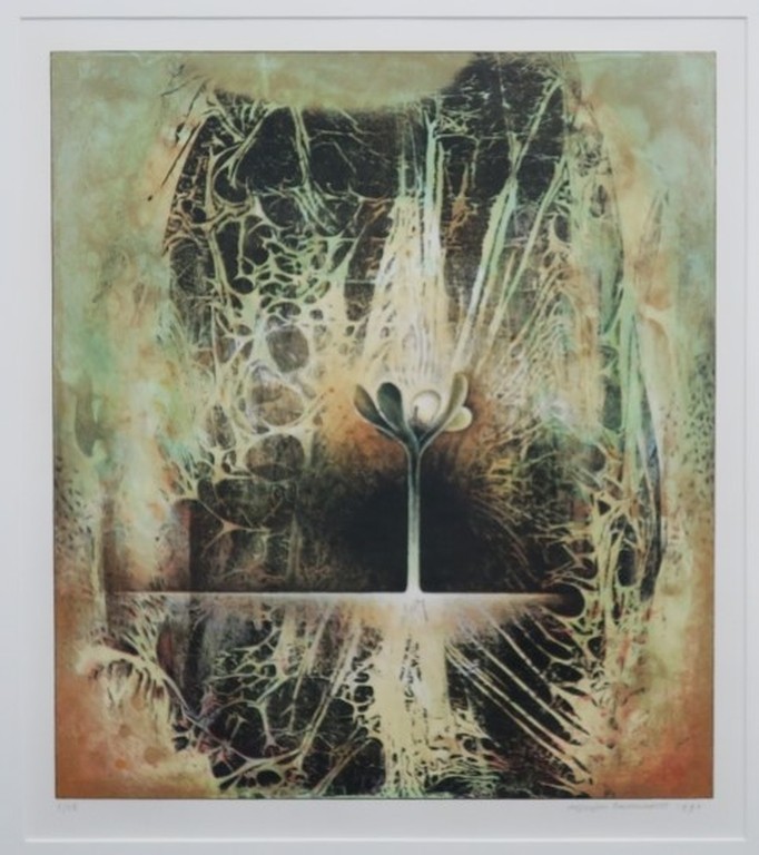 Jurjen Ravenhorst: Litho, Bloem - Ingelijst verkocht voor € 35!
