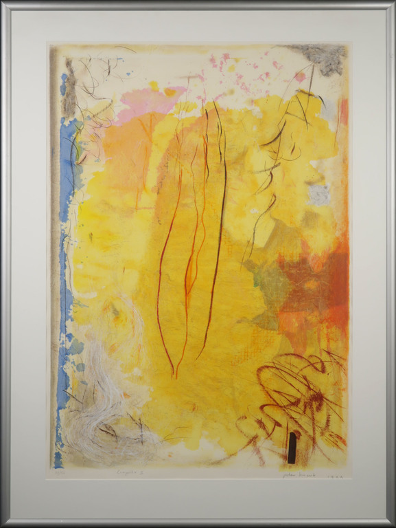 Peter Schenk: Zeefdruk, Compositie II - Ingelijst (Groot!) verkocht voor € 50!