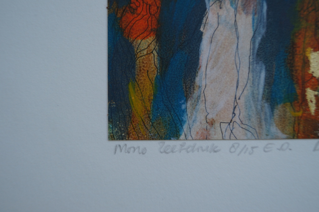 Hester van Dapperen - gesigneerde mono zeefdruk - 2000 kopen? Bied vanaf 1!