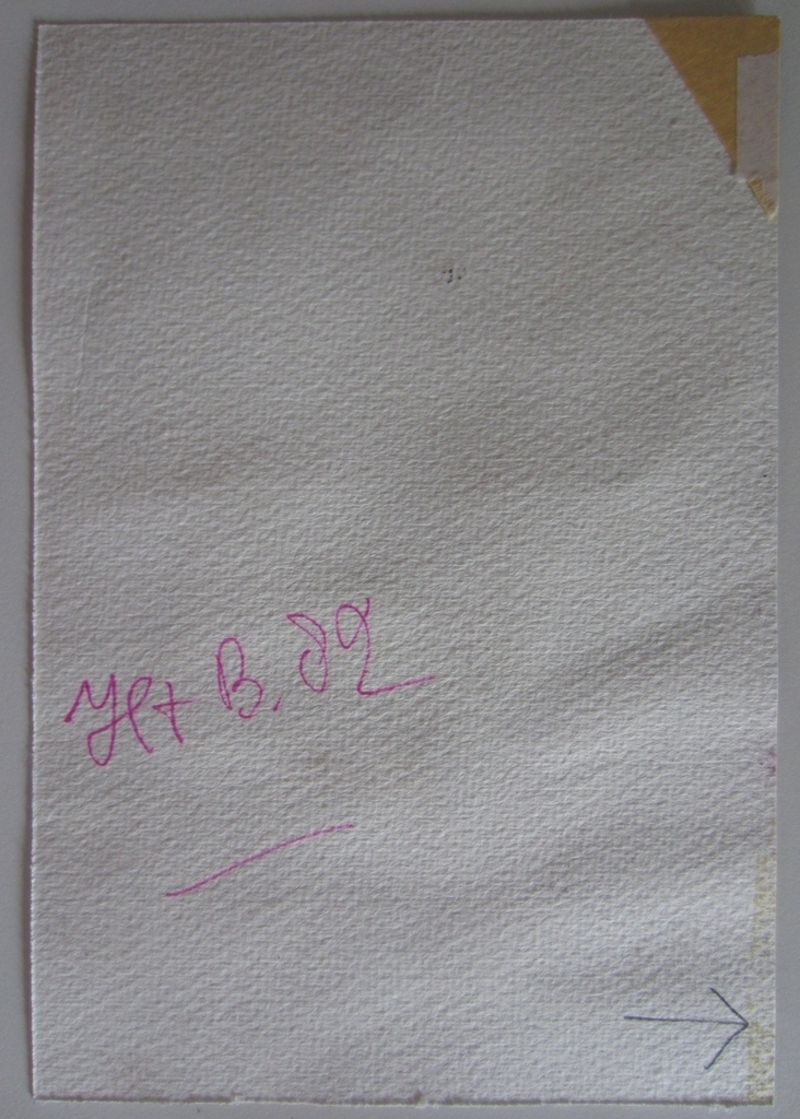 Hans ter Braake (1938-1996) - Schildering op papier 1982 kopen? Bied vanaf 1!