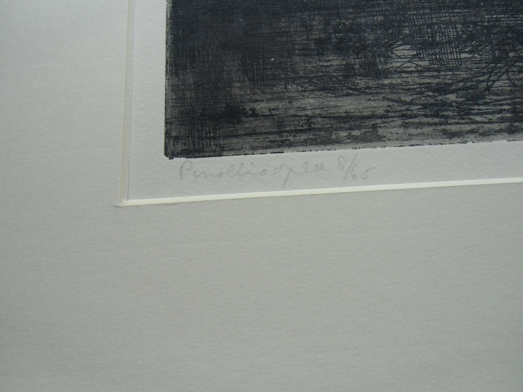 PINOKKIO OP ZEE // ETS VAN DIRKJE KUIK kopen? Bied vanaf 80!