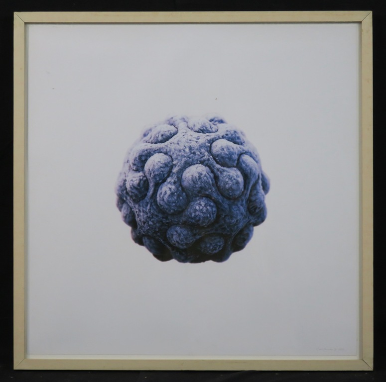 Coen Pausma: Zeefdruk, Zonder titel (ijs) - Ingelijst kopen? Bied vanaf 20!