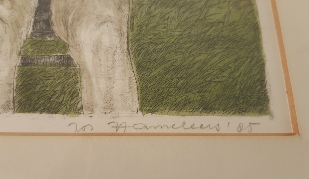 Jos Hameleers - Drinkplaats - kleurenets kopen? Bied vanaf 25!