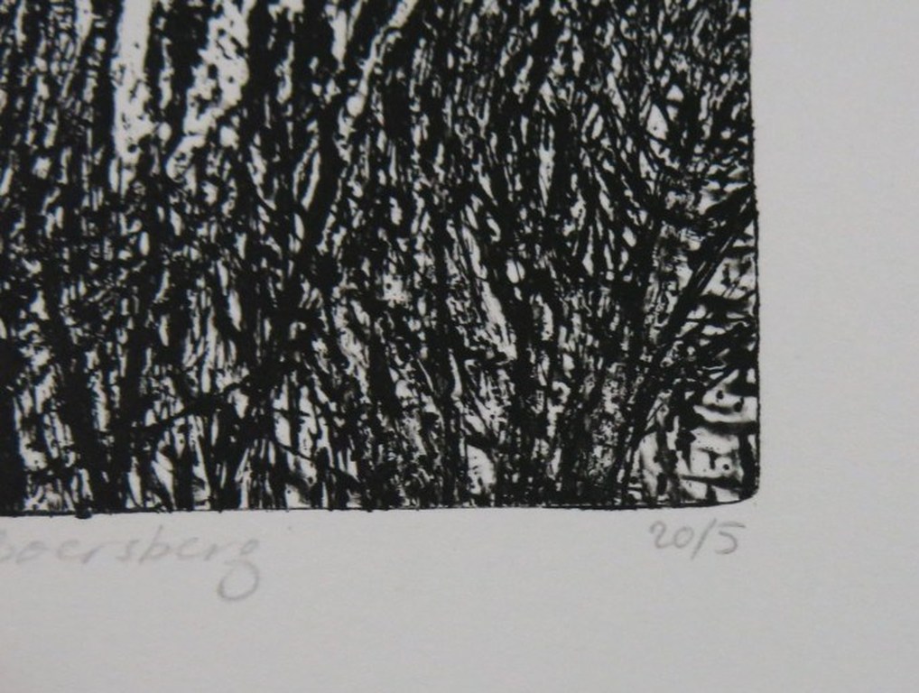 Paulien Wittenrood: Ets, Berken op de Boersberg kopen? Bied vanaf 20!