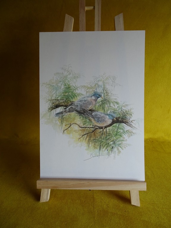 Bernadette Vos, kleurenlitho, Houtduiven kopen? Bied vanaf 1!