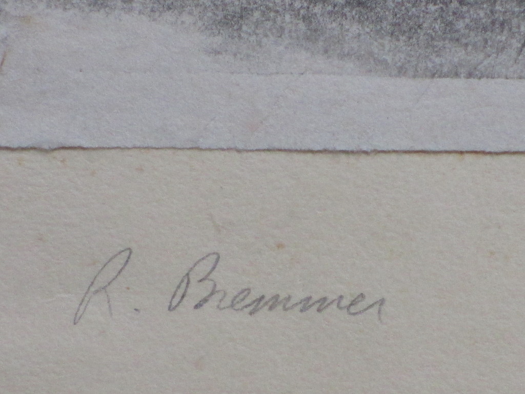Rudolf Bremmer, Kippenstudies, 3 Houtsnedes kopen? Bied vanaf 1!