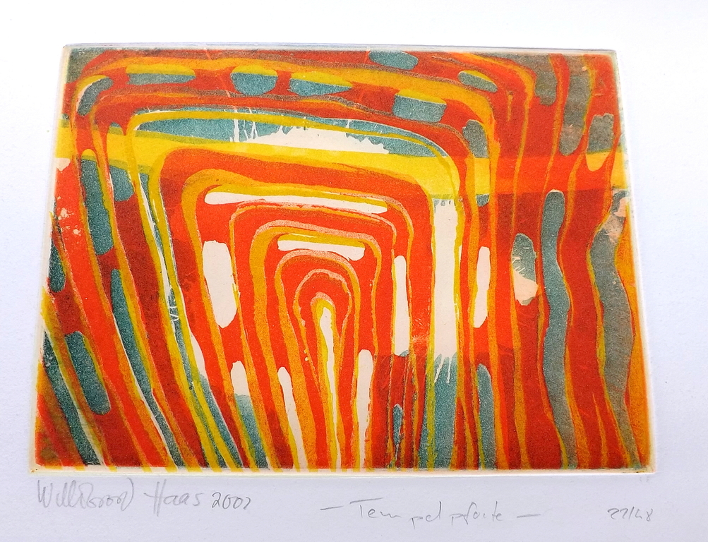 Haas Willibrord: kleurenets  kopen? Bied vanaf 1!