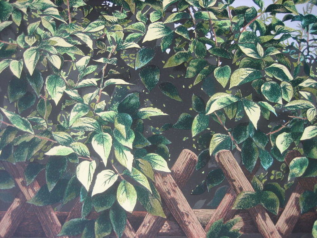 Rolf Schröder-Borm - Gebüsch - Lithografie - handgesigneerd - Oplage: 500 - 1974 kopen? Bied vanaf 1!