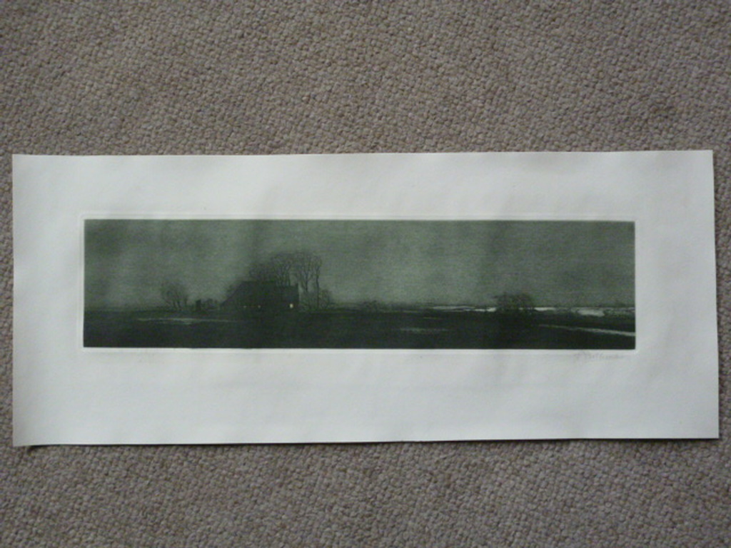 Tjeerd Bottema - kleurenets - Nacht in Friesland kopen? Bied vanaf 165!