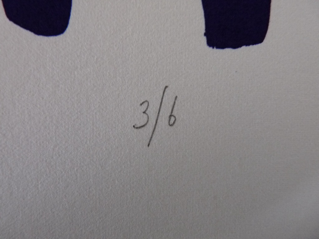 mooie kleur lithografie van Gerrit Westerveld kopen? Bied vanaf 50!