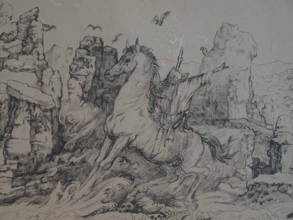 Onduidelijke signatuur : Litho – L’eau interdit / Verboden water – ingelijst  kopen? Bied vanaf 1!