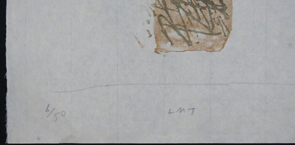 Leon Tebbe: Houtsnede, Watervogel kopen? Bied vanaf 1!