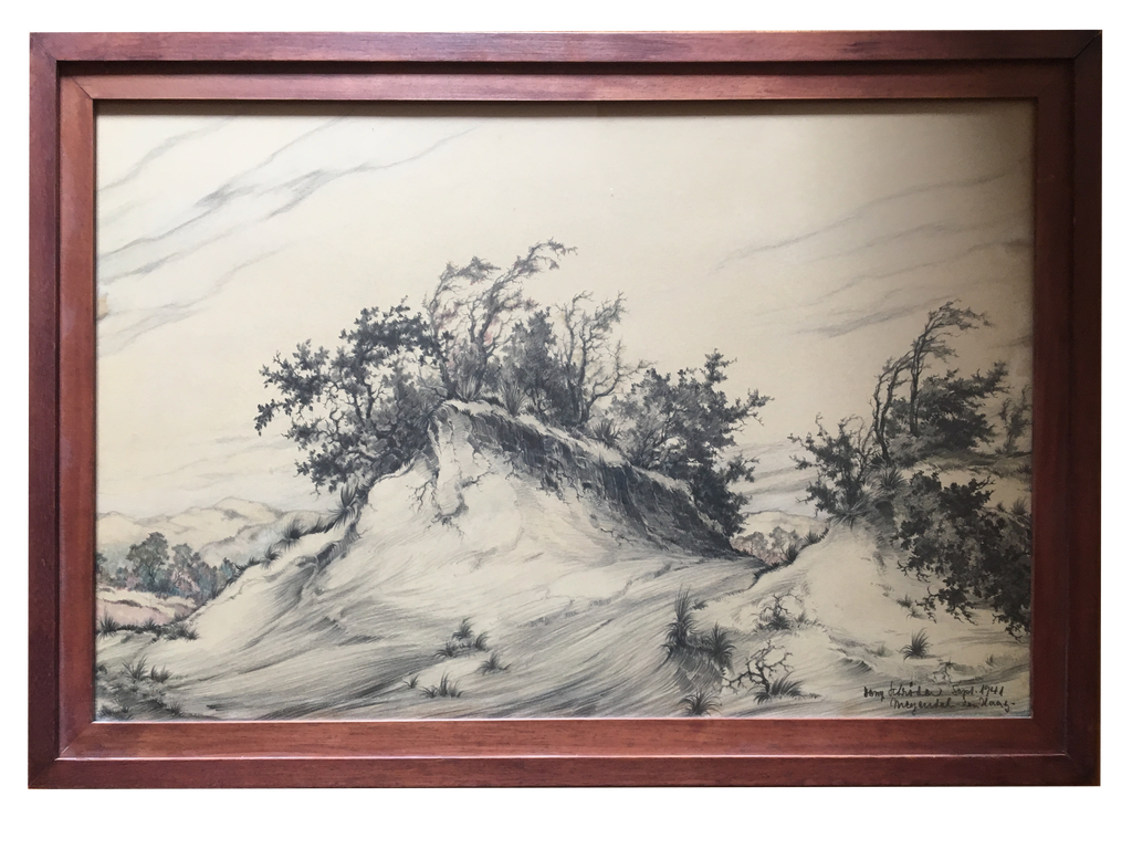 Duinen van Den Haag  kopen? Bied vanaf 400!